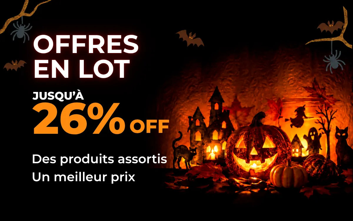 Offres Halloween en lot : jusqu’à 26 % de réduction sur des produits assortis, avec des citrouilles illuminées et un château hanté.